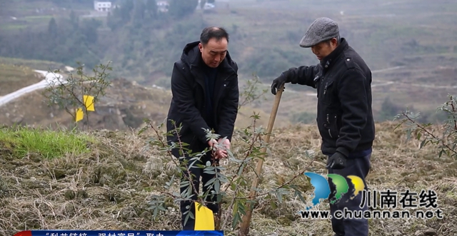 探秘古蔺彰德街道“三宝养成记”：大山里的“麻·辣·鸡”串起大园区(图20)