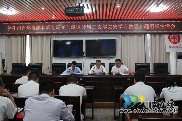 龙马潭区自然资源和规划分局机关党支部召开党史学习教育专题组织生活会(图2)
