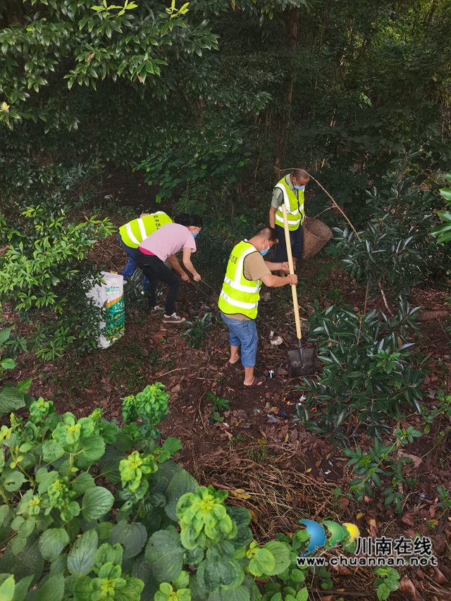 泸县云龙镇：开展环境卫生整治，助推美丽乡村建设(图1)