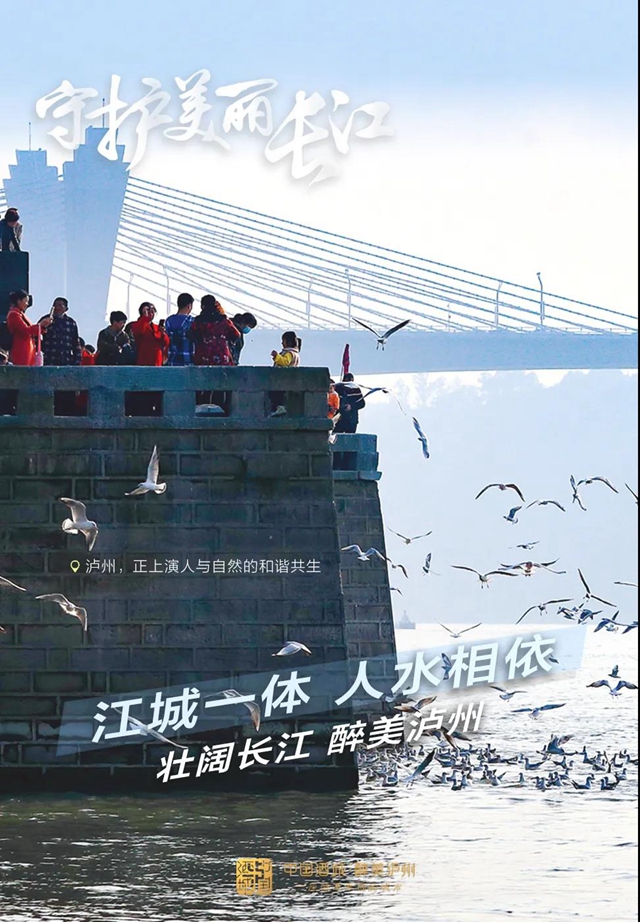 泸州禁渔新规开始施行，这些地方十年禁捕！(图4)