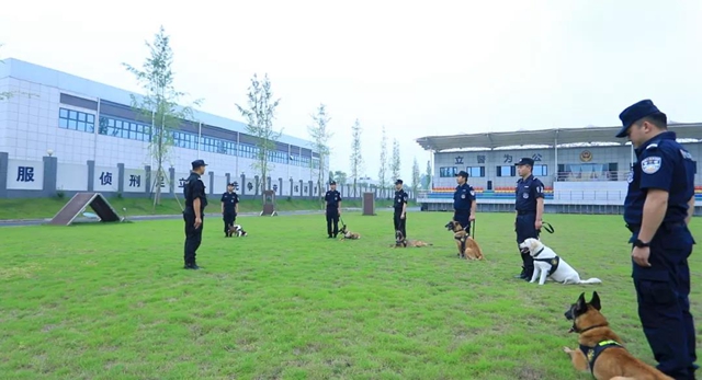 训犬建功！泸州马中平被评为“最美警务辅助人员”(图9)