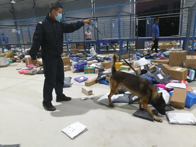 训犬建功！泸州马中平被评为“最美警务辅助人员”(图10)