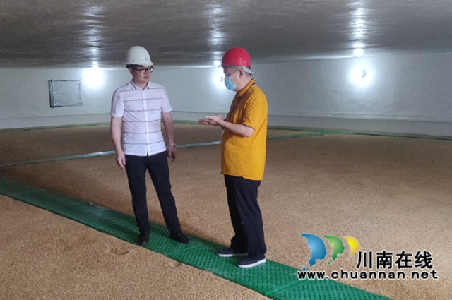 江阳区委常委、常务副区长王刚调研政策性粮食储备工作(图2)