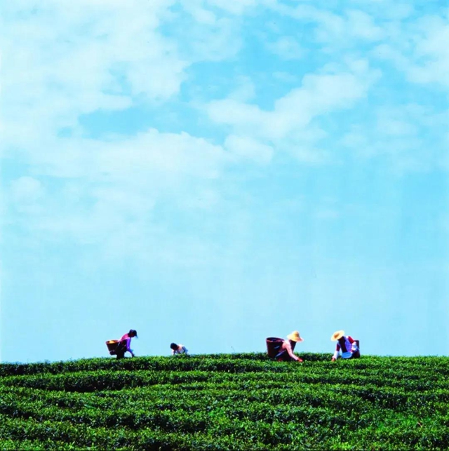 全国公布！宜宾这个村上榜！四川只有10地(图1)