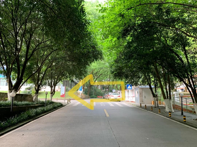 【围观】忠山新路标，大家都说好！(图15)