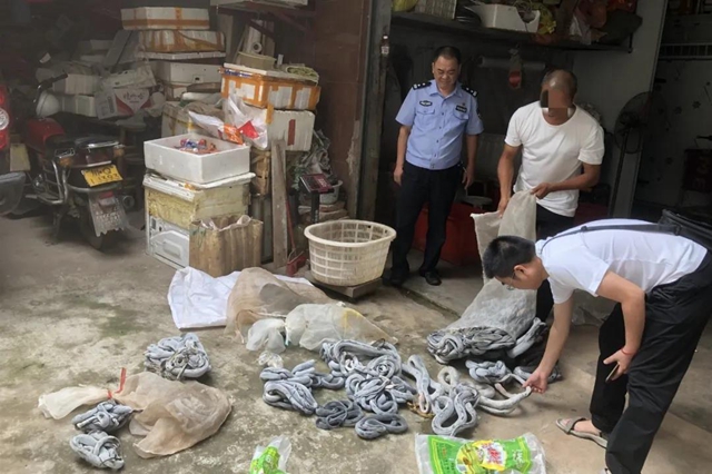 涉案达160万元！宜宾警方抓了21个“蛇贩子”！(图1)