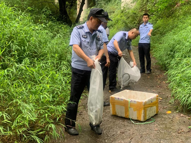 涉案达160万元！宜宾警方抓了21个“蛇贩子”！(图4)