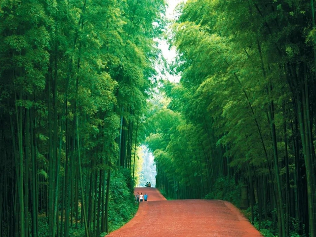 福利丨宜宾这些景区向全国教师免收门票(图1)