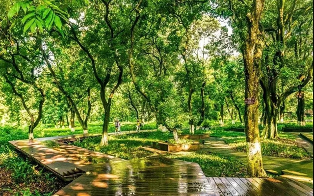 文旅消费 惠享泸州丨全民消费季主题活动向你发出邀请！(图5)