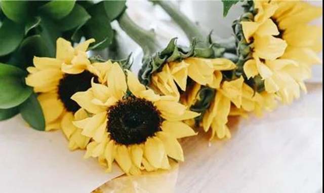 感怀师恩 节日快乐——泸州市老年大学给全体老师的一封信(图1)