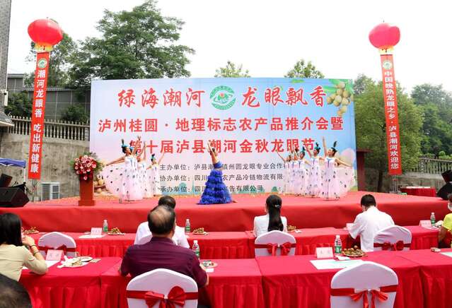 “云享”龙眼节！泸县潮河第十届金秋龙眼节开幕