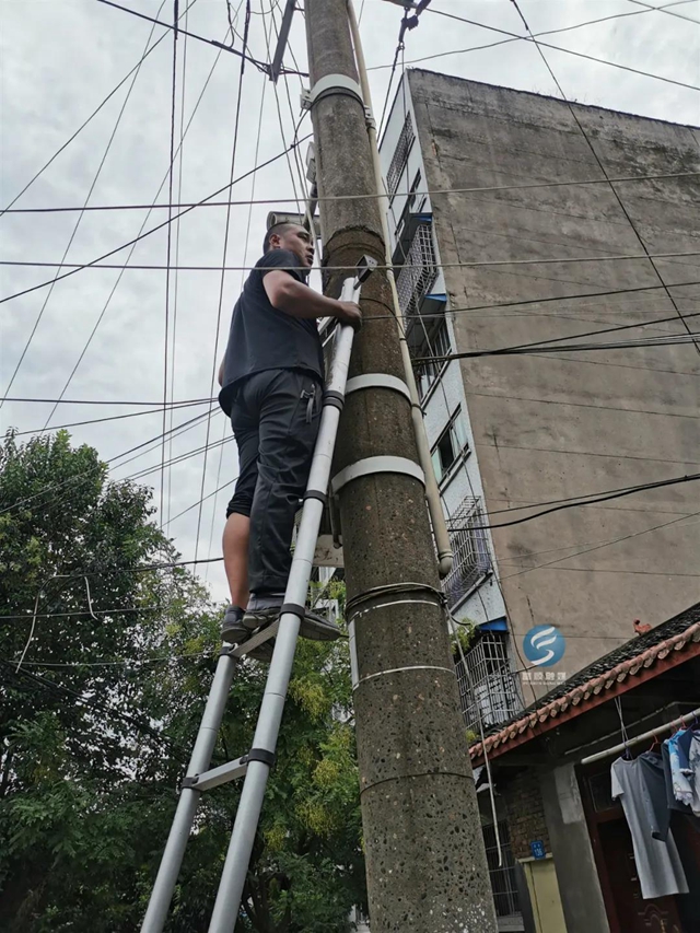 富顺重拳整治“空中蜘蛛网”，群众大呼过瘾！(图2)