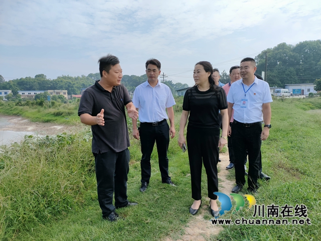 合江县组织统战成员开展乡村振兴专题调研(图1)