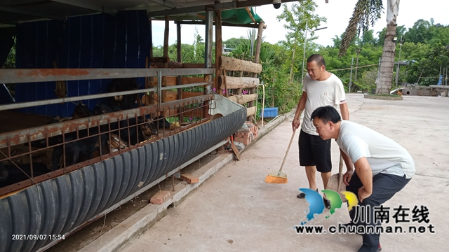 泸县云龙镇开展畜禽粪污排查整治工作(图2)
