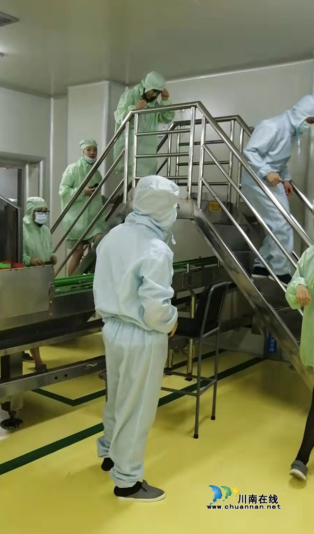 泸州召开食品生产检查员廉政教育及培训座谈会(图2)