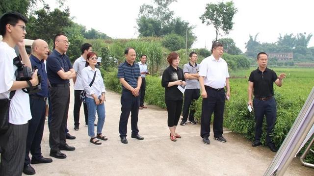 农业农村部调研泸县秋粮及秋冬种生产(图1)