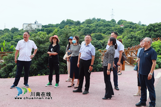 四川省统计局到合江县调研工作(图2)