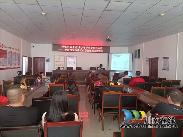 龙马潭区小市街道回龙湾社区开展青少年学党史活动(图4)