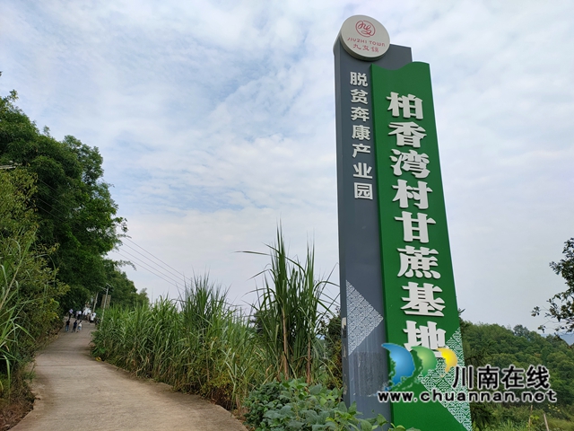 合江县委统战部开展支部暨工会活动(图2)