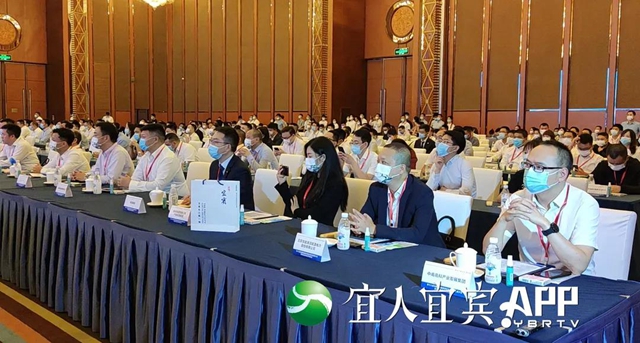 引智＋引资！宜宾再签一批投资合作项目(图2)