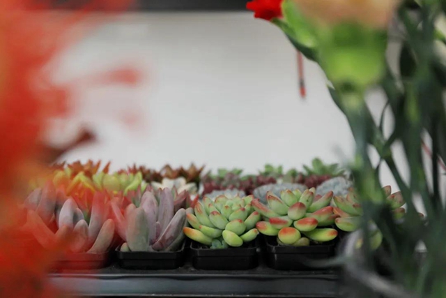 在泸州，有一种文明叫24小时自助花店(图11)