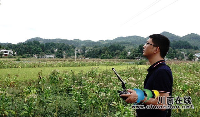 藏粮于地，藏粮于技！国家统计局古蔺调查队“统计开放日”开展实割实测活动(图11)