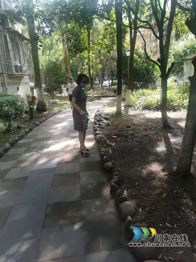 泸县民盟积极开展文明创建志愿服务活动(图4)