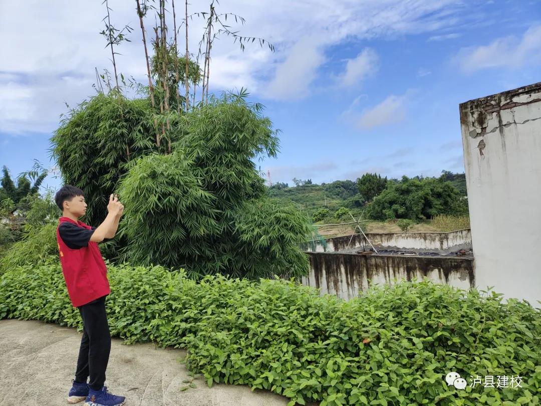 泸县“9.16”地震 ┃ 泸县建校绘就最美“红色风景线”(图19)