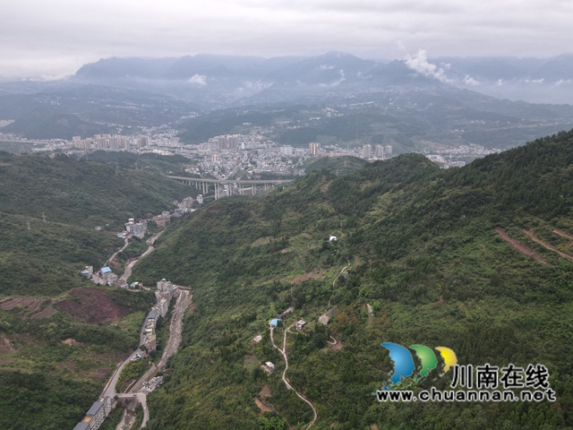 古蔺：好生态变好“钱景”，高山羊跑出致富加速度(图2)