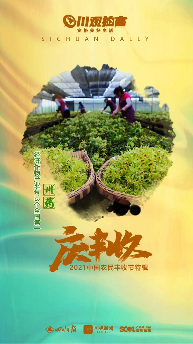四川25种农产品全国产量第一，你知道多少？(图2)
