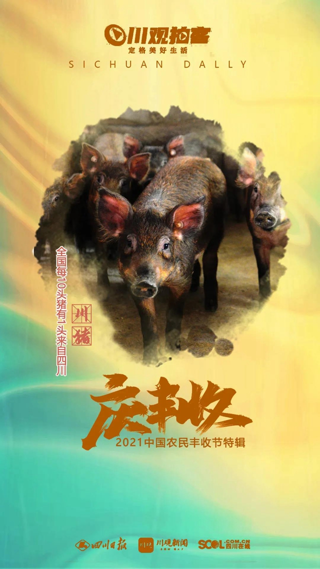 四川25种农产品全国产量第一，你知道多少？(图6)