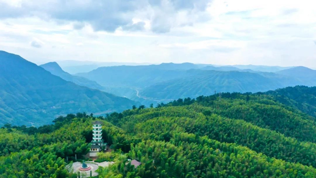 贵州赤水：发布四条黔川渝旅游精品线路(图13)