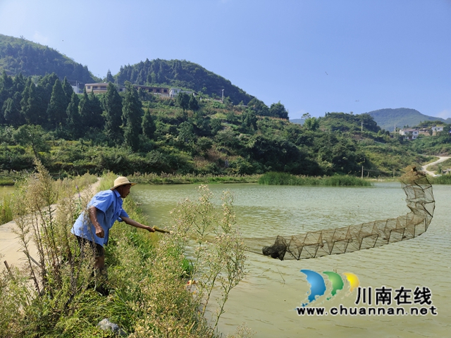 古蔺：满满“虾”意！一片赤红铺就致富道路(图4)