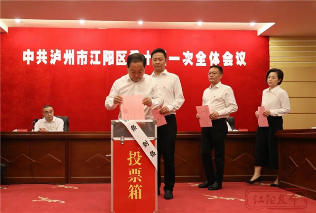 江阳新一届区委领导班子选举产生，杨长缨当选书记(图3)