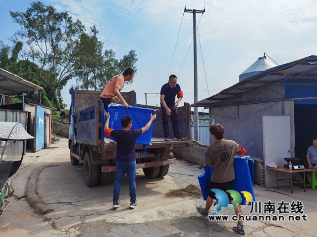 抗震救灾｜奋战救灾一线，泸县云龙志愿者在行动(图3)