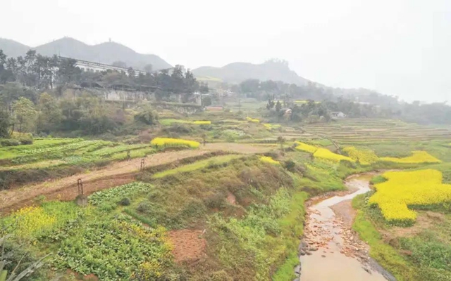 “乡臭”变“乡愁”!四川纳溪生态综合治理见成效(图1) “乡臭”变“乡愁”!四川纳溪生态综合治理见成效(图1)