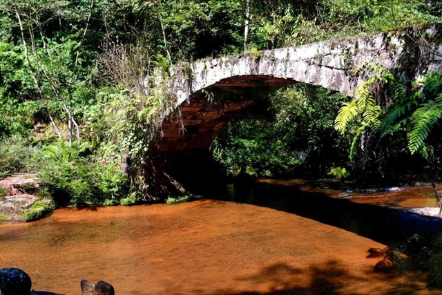 【多图】黄荆老林湿地生态美如画(图8)