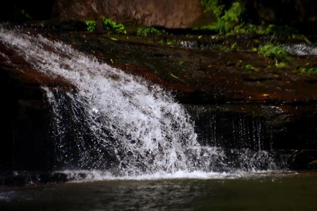 【多图】黄荆老林湿地生态美如画(图3)