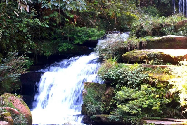 【多图】黄荆老林湿地生态美如画(图16)