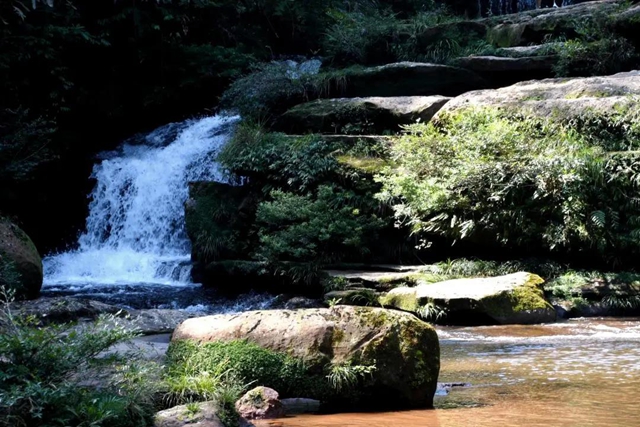 【多图】黄荆老林湿地生态美如画(图18)