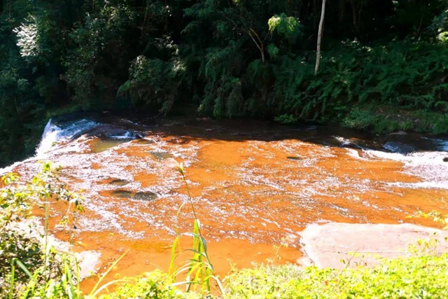 【多图】黄荆老林湿地生态美如画(图24)