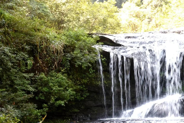 【多图】黄荆老林湿地生态美如画(图22)