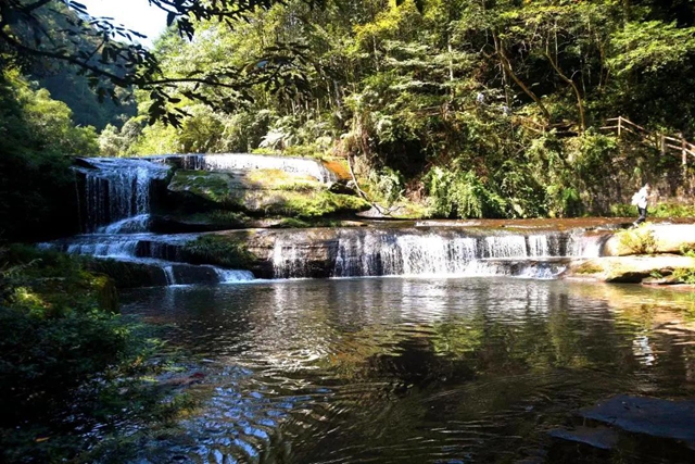 【多图】黄荆老林湿地生态美如画(图23)