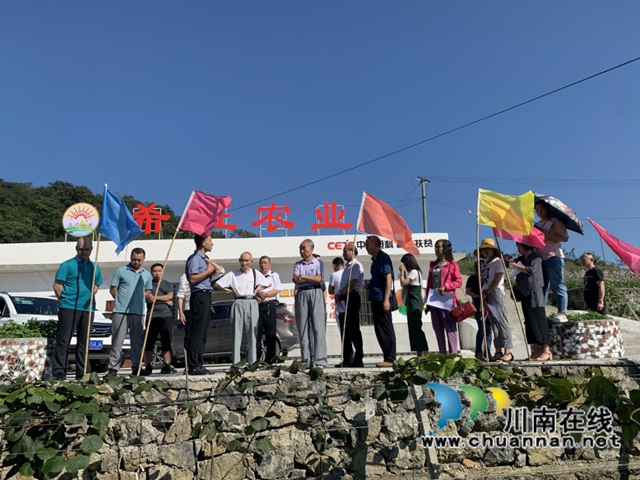 开展猕猴桃产业调研，叙永县“五老”为乡村振兴建言献策(图1)