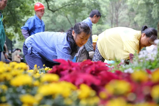 喜迎国庆，近110万盆鲜花扮靓酒城(图4)