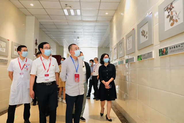 国家级评审组到合江县中医医院开展“创建全国基层中医药工作示范市”评审工作(图2)