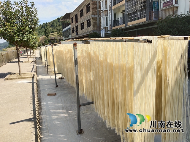 古蔺：乡贤回乡做挂面，“挂”出幸福好产业(图1)