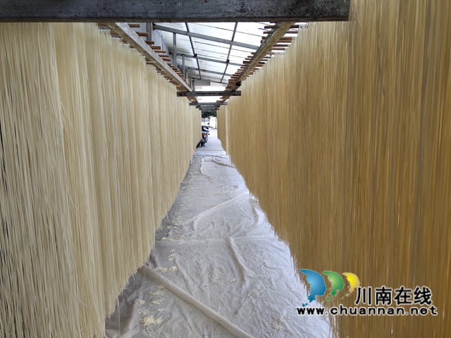 古蔺：乡贤回乡做挂面，“挂”出幸福好产业(图2)