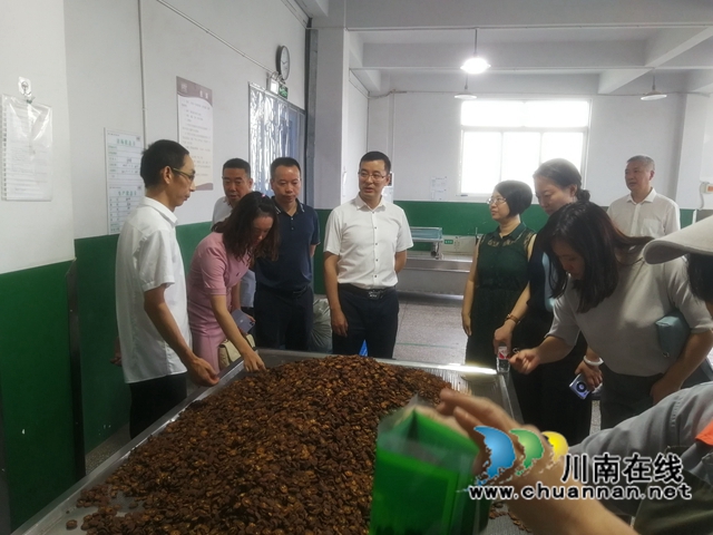 江阳区扎实抓好现代医药产业生态链建设(图2) 江阳区扎实抓好现代医药产业生态链建设(图2)