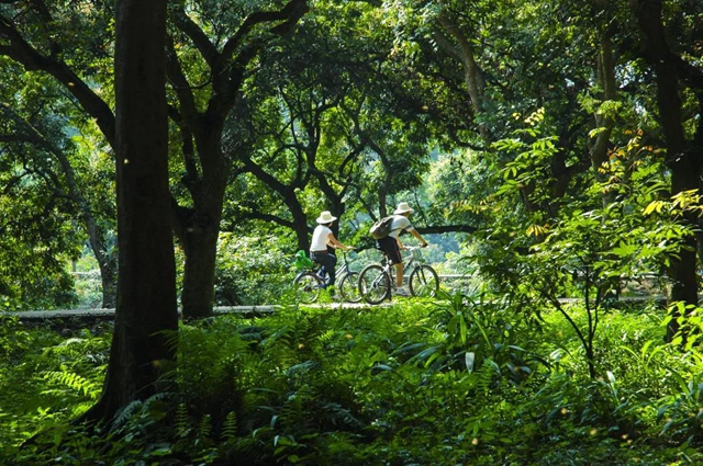 泸州首个“天府旅游名县”：江阳！(图13)